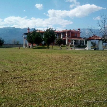Αρχοντικό Παπανικολάου Villa Ligaria  Eksteriør billede